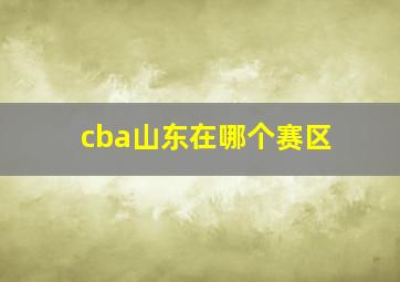 cba山东在哪个赛区