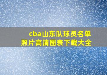 cba山东队球员名单照片高清图表下载大全