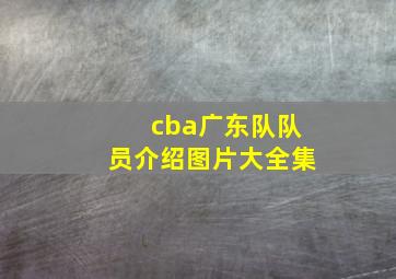 cba广东队队员介绍图片大全集