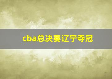 cba总决赛辽宁夺冠