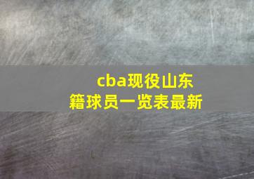 cba现役山东籍球员一览表最新