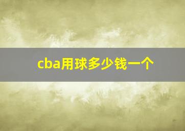 cba用球多少钱一个