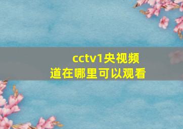 cctv1央视频道在哪里可以观看