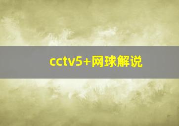 cctv5+网球解说