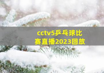 cctv5乒乓球比赛直播2023回放