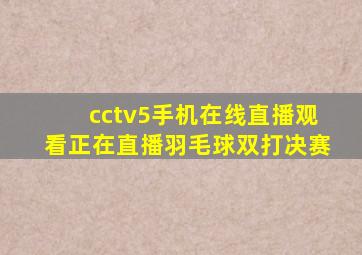 cctv5手机在线直播观看正在直播羽毛球双打决赛