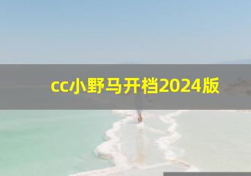 cc小野马开档2024版