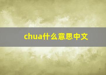 chua什么意思中文