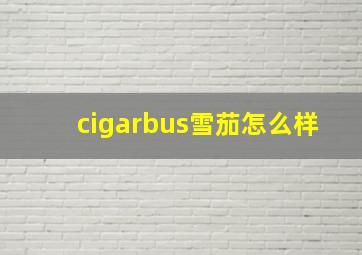 cigarbus雪茄怎么样