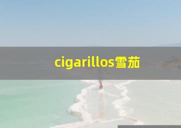 cigarillos雪茄