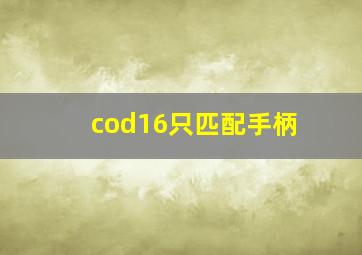 cod16只匹配手柄