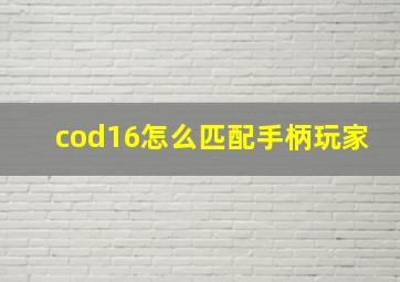 cod16怎么匹配手柄玩家