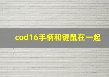 cod16手柄和键鼠在一起