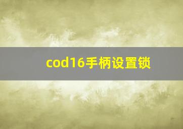 cod16手柄设置锁