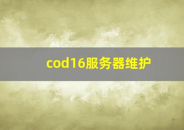 cod16服务器维护