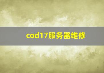 cod17服务器维修