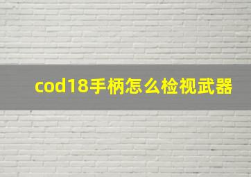 cod18手柄怎么检视武器