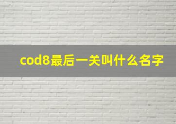 cod8最后一关叫什么名字