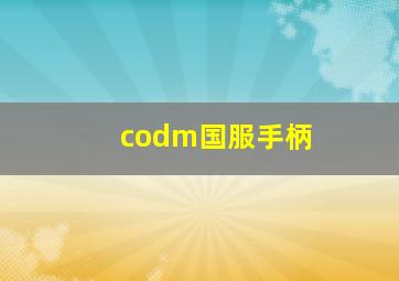 codm国服手柄