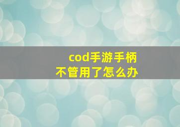 cod手游手柄不管用了怎么办