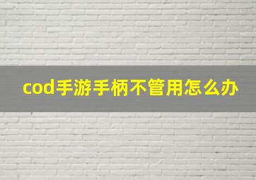 cod手游手柄不管用怎么办