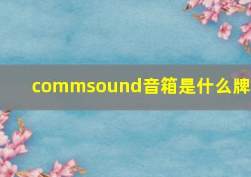 commsound音箱是什么牌子