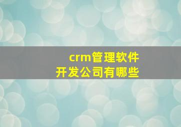 crm管理软件开发公司有哪些