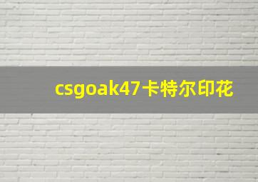 csgoak47卡特尔印花