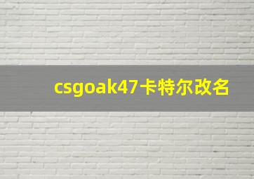 csgoak47卡特尔改名