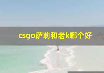 csgo萨莉和老k哪个好