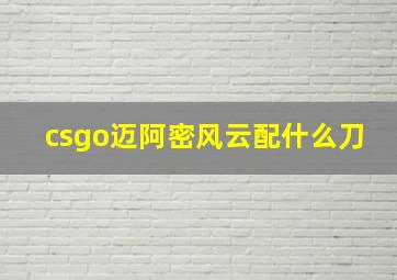 csgo迈阿密风云配什么刀