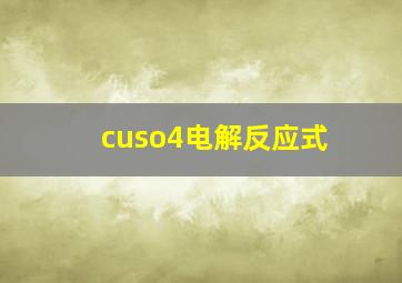 cuso4电解反应式