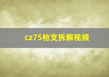 cz75枪支拆解视频