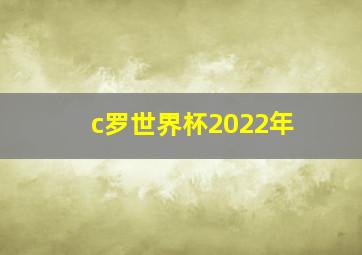 c罗世界杯2022年