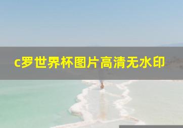 c罗世界杯图片高清无水印