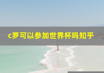 c罗可以参加世界杯吗知乎