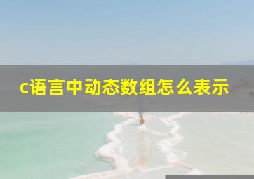 c语言中动态数组怎么表示