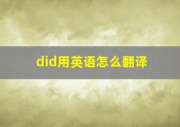 did用英语怎么翻译