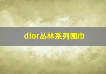 dior丛林系列围巾