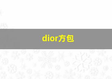 dior方包