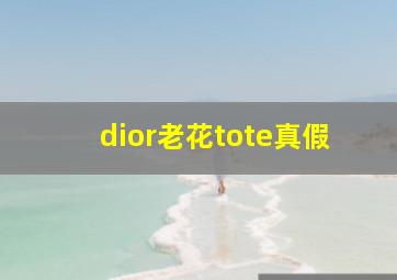 dior老花tote真假