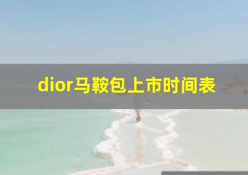 dior马鞍包上市时间表