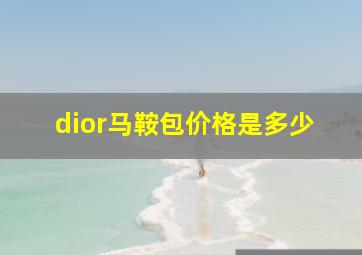 dior马鞍包价格是多少