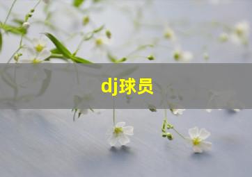 dj球员