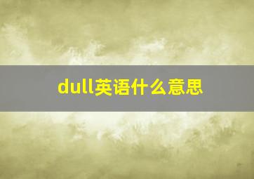 dull英语什么意思