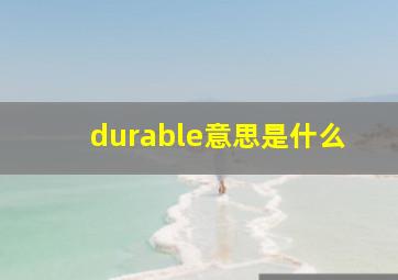 durable意思是什么