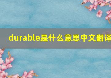 durable是什么意思中文翻译