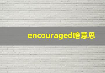 encouraged啥意思