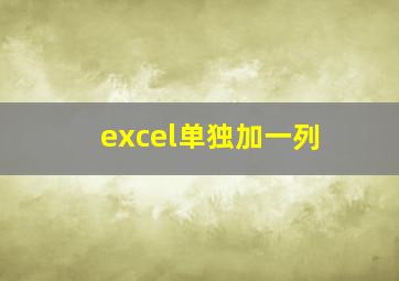 excel单独加一列