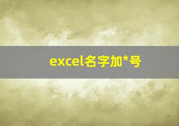 excel名字加*号